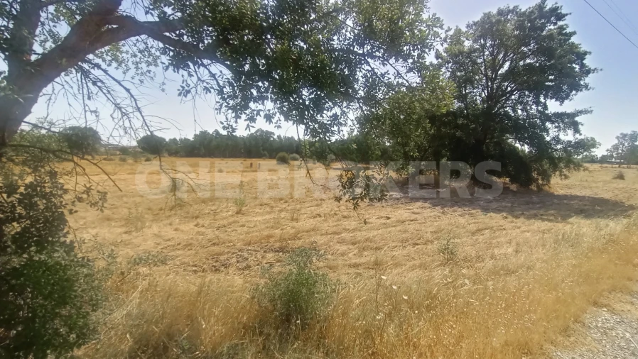 Terreno para Venda em Santo Estêvão Foto 3