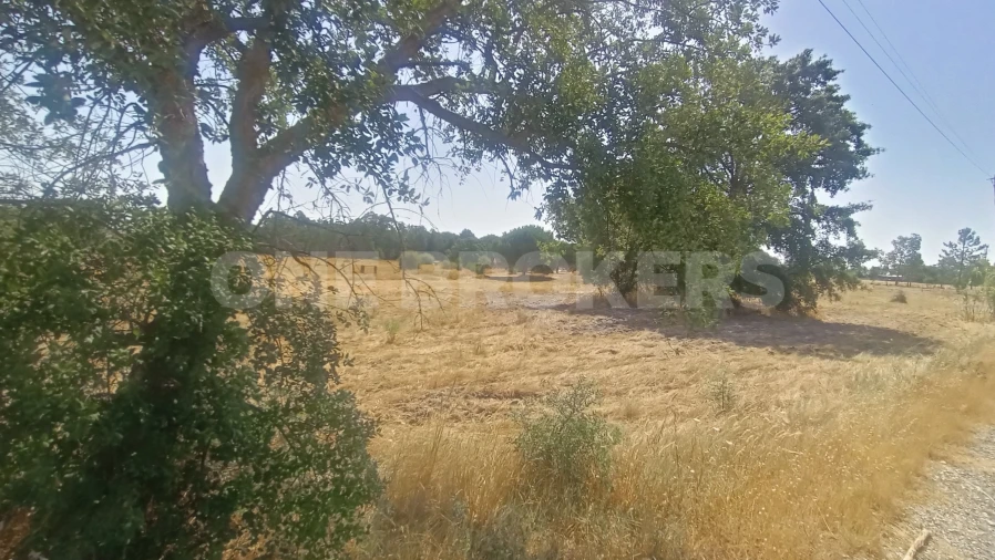 Terreno para Venda em Santo Estêvão Foto 12