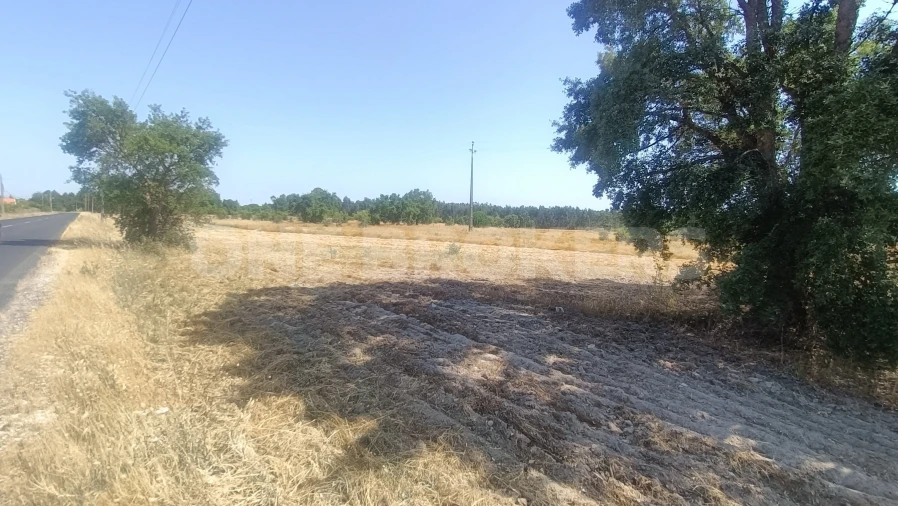 Terreno para Venda em Santo Estêvão Foto 19