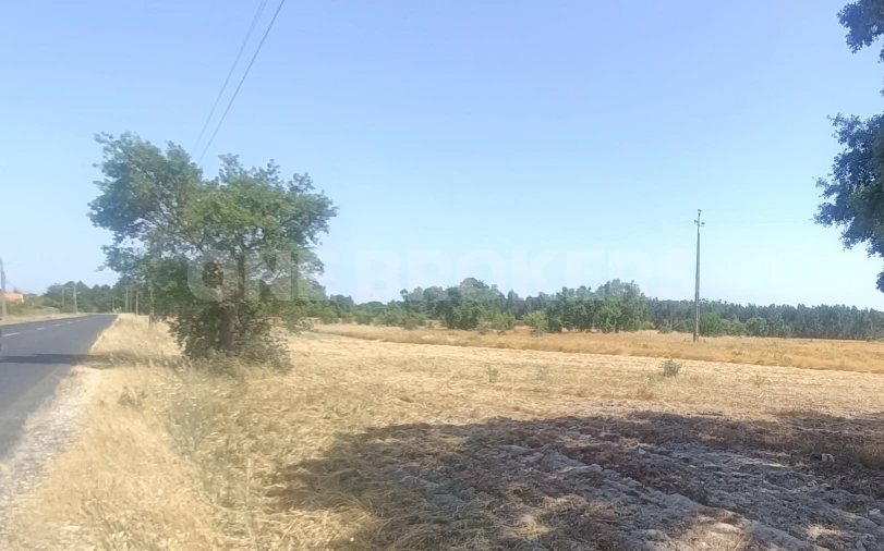Terreno para Venda em Santo Estêvão Foto 16