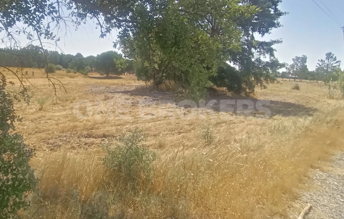 Terreno para Venda em Santo Estêvão Foto 9