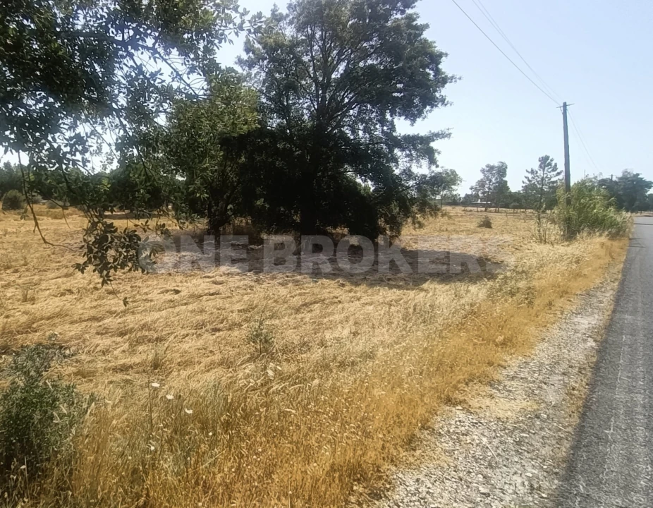 Terreno para Venda em Santo Estêvão Foto 10