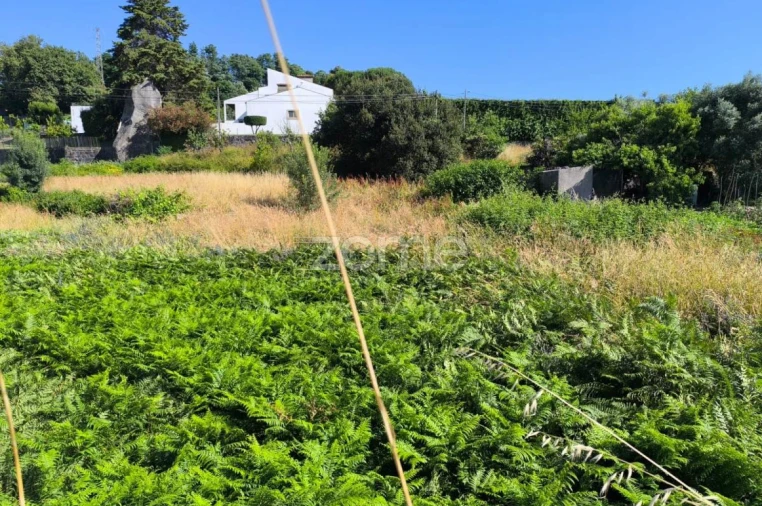 Terreno para Venda em Santo Tirso, Couto (Santa Cristina e São Miguel) e Burgães Foto 10
