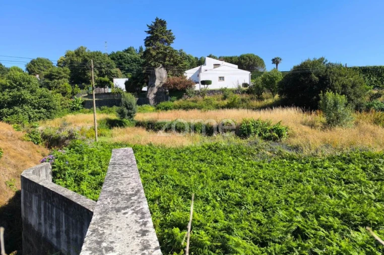 Terreno para Venda em Santo Tirso, Couto (Santa Cristina e São Miguel) e Burgães Foto 11