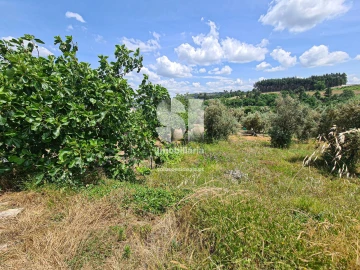 Terreno para Venda em Fragosela