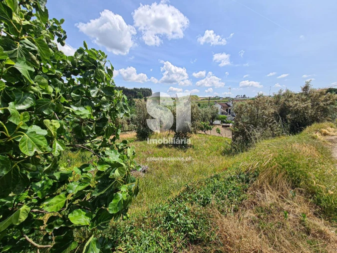 Terreno para Venda em Fragosela Foto 4