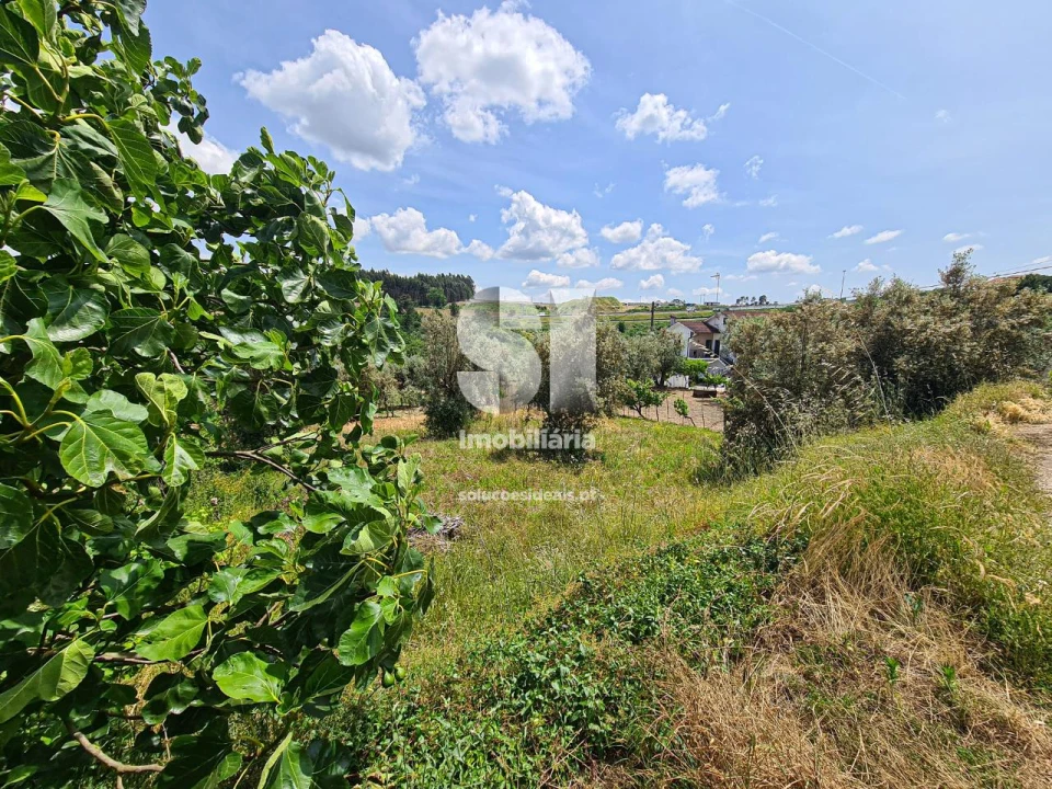 Terreno para Venda em Fragosela Foto 4