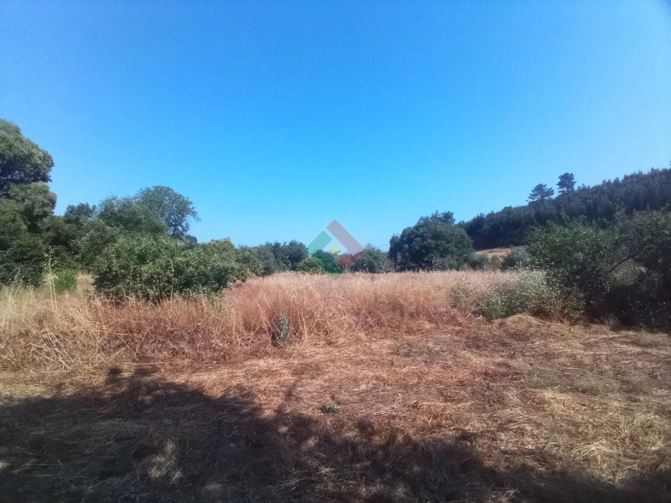 Terreno Agricola ou Rústico para Venda em São Salvador da Aramenha Foto 5