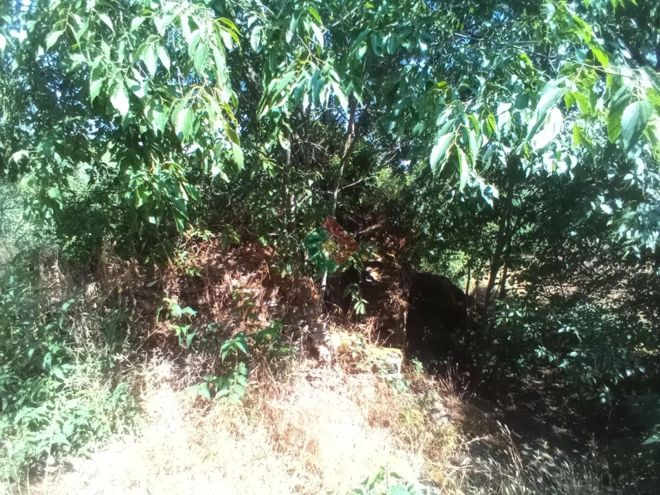 Terreno Agricola ou Rústico para Venda em São Salvador da Aramenha Foto 10