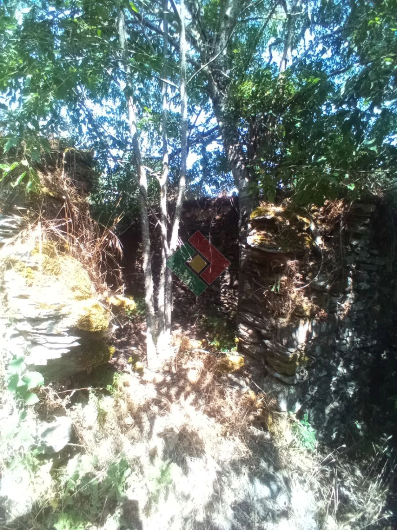Terreno Agricola ou Rústico para Venda em São Salvador da Aramenha Foto 11