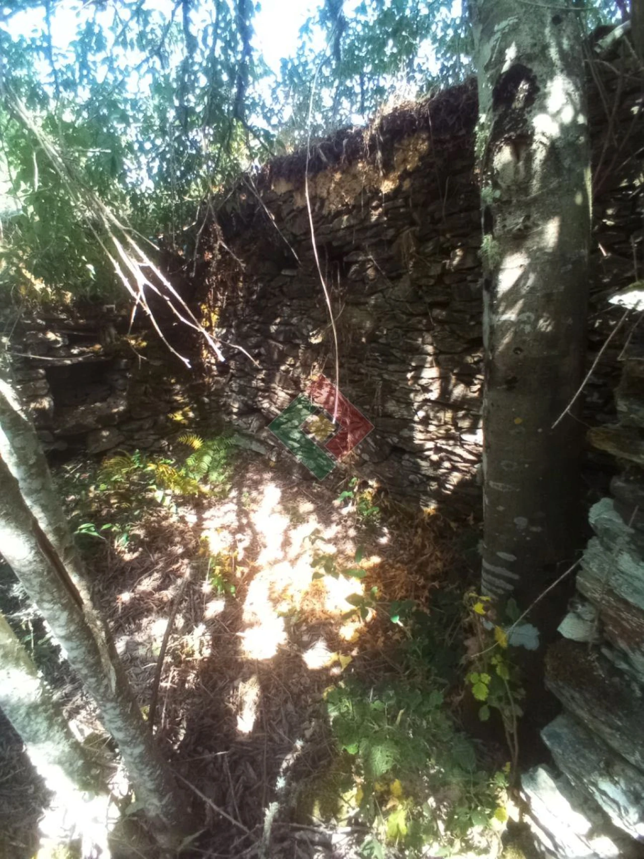 Terreno Agricola ou Rústico para Venda em São Salvador da Aramenha Foto 12