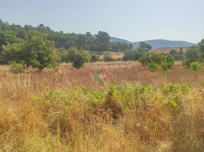 Terreno Agricola ou Rústico para Venda em São Salvador da Aramenha Foto 1