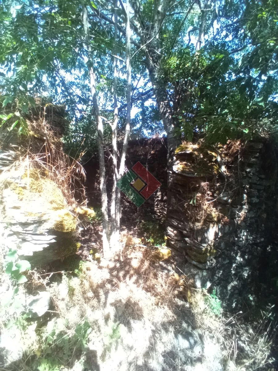 Terreno Agricola ou Rústico para Venda em São Salvador da Aramenha Foto 11