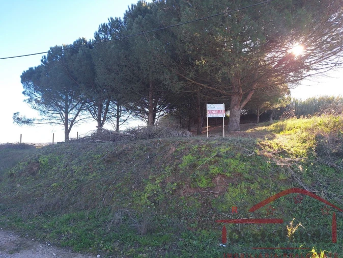 Terreno para Venda em Lamas e Cercal Foto 2