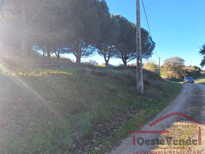 Terreno para Venda em Lamas e Cercal Foto 6