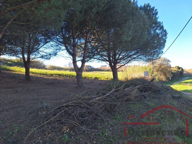 Terreno para Venda em Lamas e Cercal Foto 9