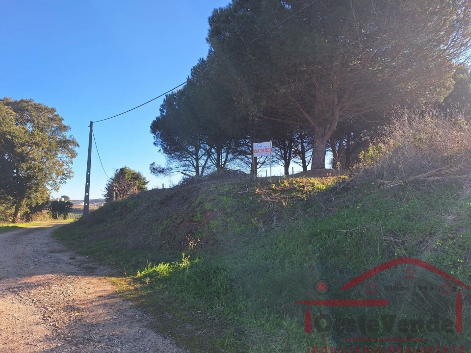 Terreno para Venda em Lamas e Cercal Foto 1