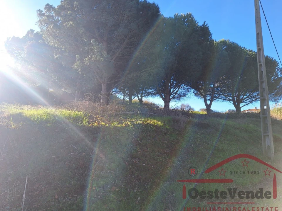 Terreno para Venda em Lamas e Cercal Foto 5