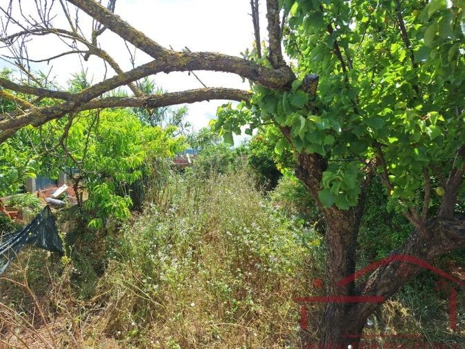 Terreno para Venda em Cadaval e Pêro Moniz Foto 6