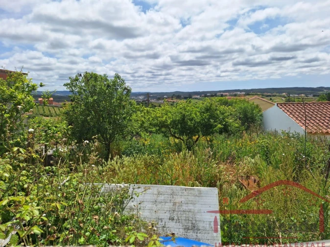 Terreno para Venda em Cadaval e Pêro Moniz Foto 3