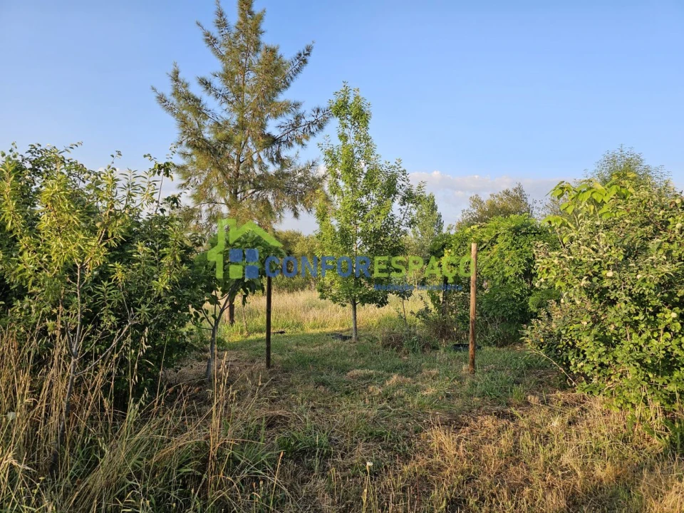 Quinta T2 para Venda em Ladoeiro Foto 17