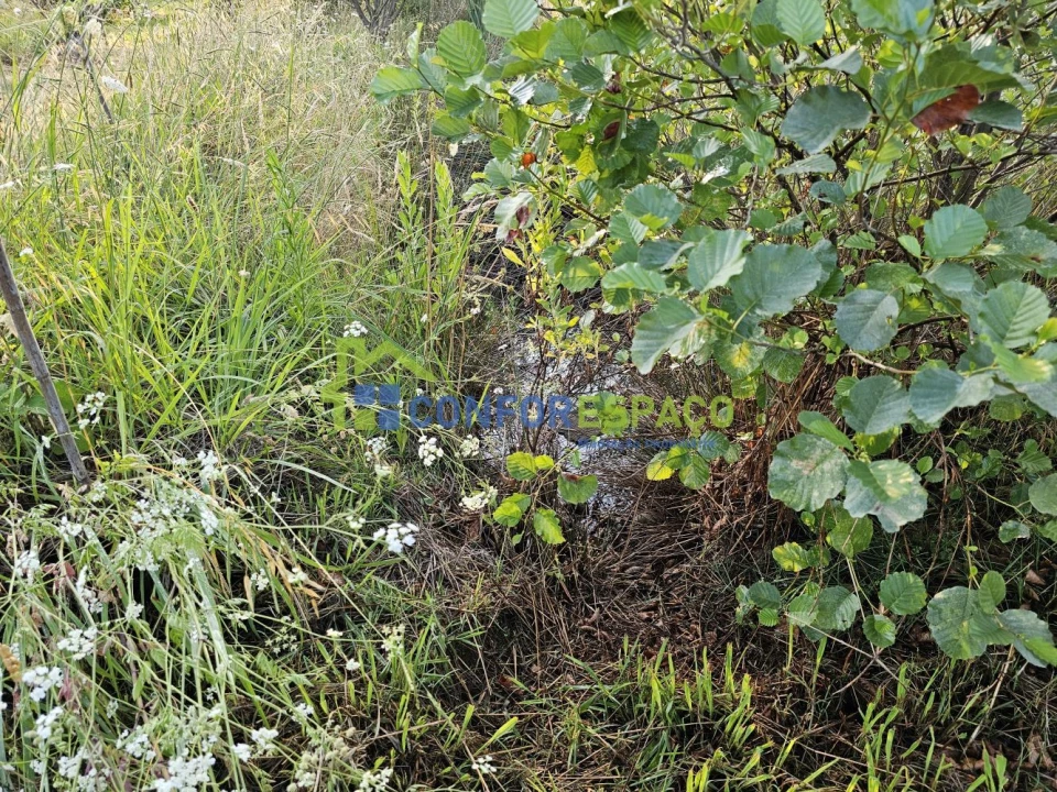 Quinta T2 para Venda em Ladoeiro Foto 20