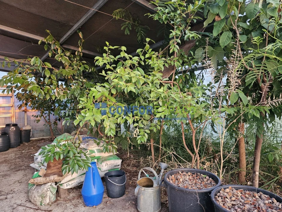 Quinta T2 para Venda em Ladoeiro Foto 37