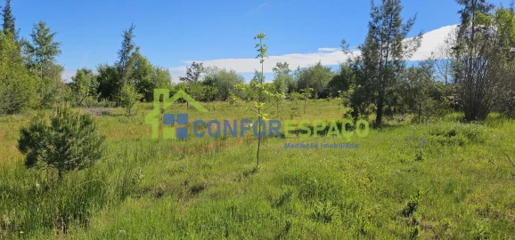 Quinta T2 para Venda em Ladoeiro