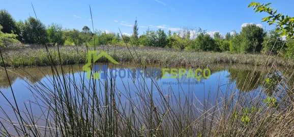 Quinta T2 para Venda em Ladoeiro