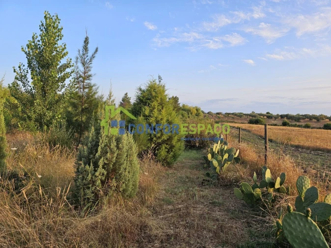 Quinta T2 para Venda em Ladoeiro Foto 29