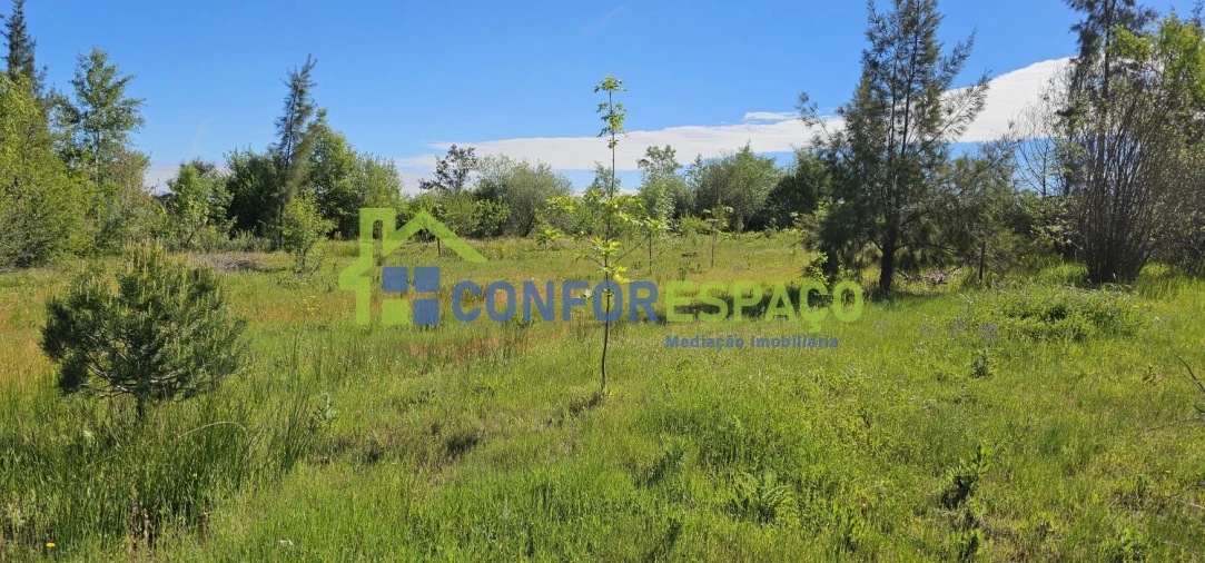 Quinta T2 para Venda em Ladoeiro Foto 66