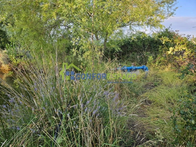 Quinta T2 para Venda em Ladoeiro Foto 8