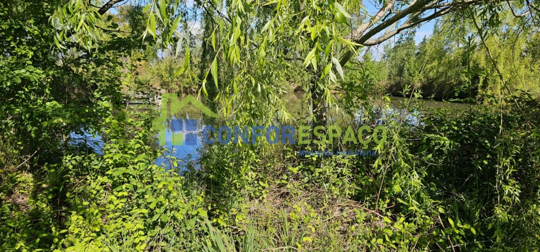 Quinta T2 para Venda em Ladoeiro Foto 64