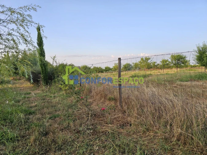 Quinta T2 para Venda em Ladoeiro Foto 26