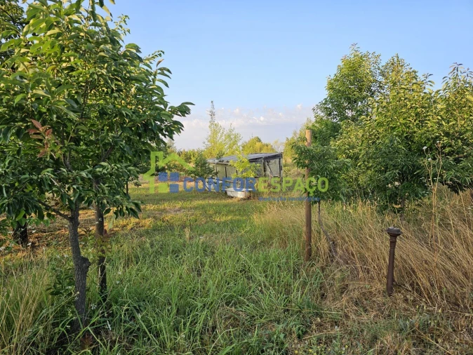 Quinta T2 para Venda em Ladoeiro Foto 21