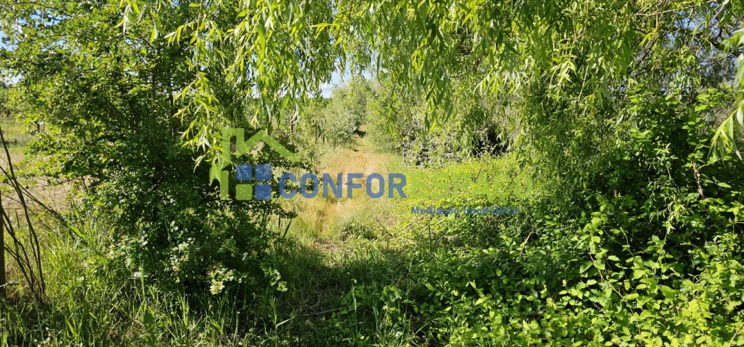 Quinta T2 para Venda em Ladoeiro Foto 65