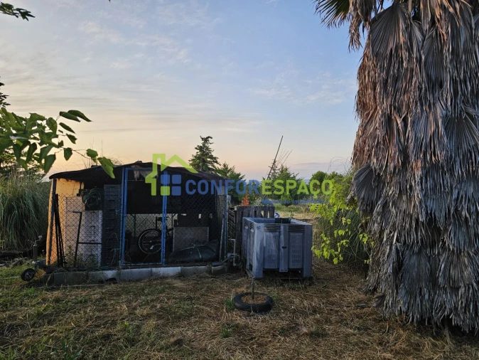 Quinta T2 para Venda em Ladoeiro Foto 34