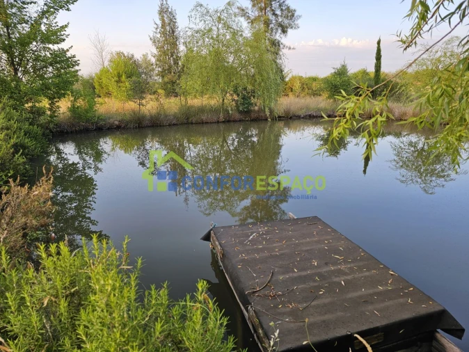 Quinta T2 para Venda em Ladoeiro Foto 5