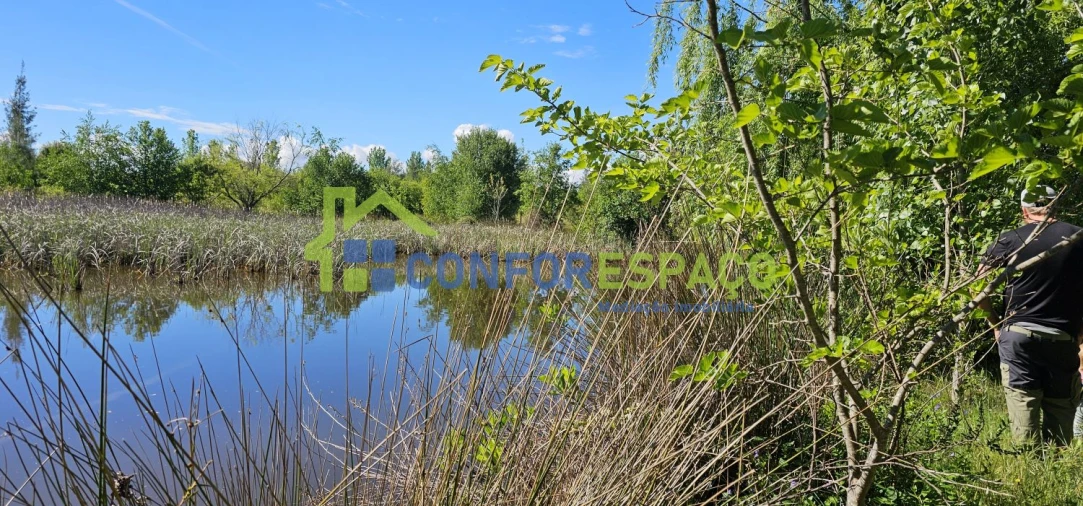 Quinta T2 para Venda em Ladoeiro Foto 68