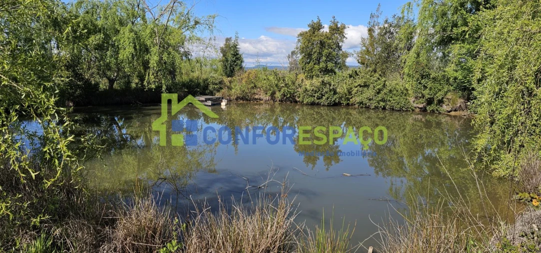 Quinta T2 para Venda em Ladoeiro Foto 26