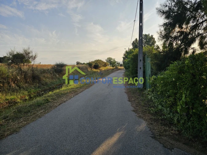 Quinta T2 para Venda em Ladoeiro Foto 6