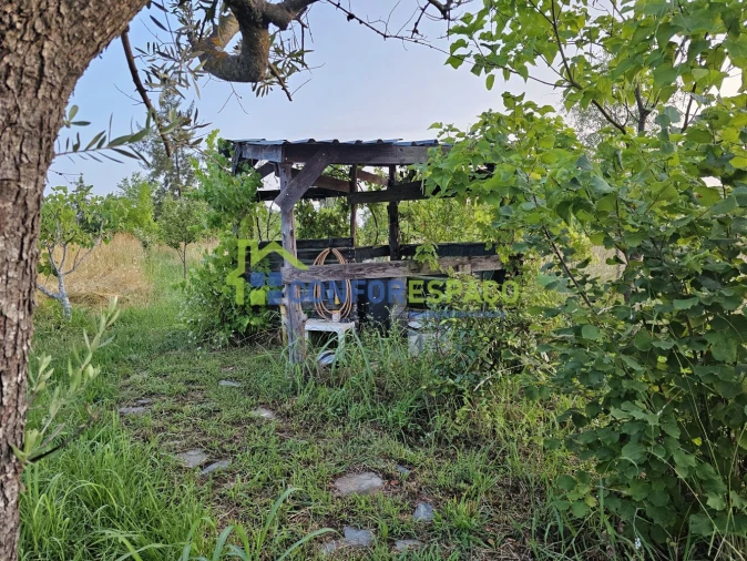 Quinta T2 para Venda em Ladoeiro Foto 41