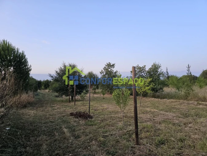 Quinta T2 para Venda em Ladoeiro Foto 39