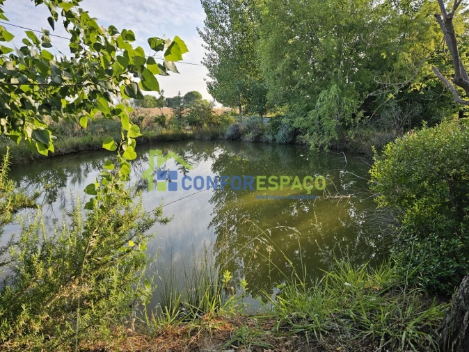 Quinta T2 para Venda em Ladoeiro Foto 11