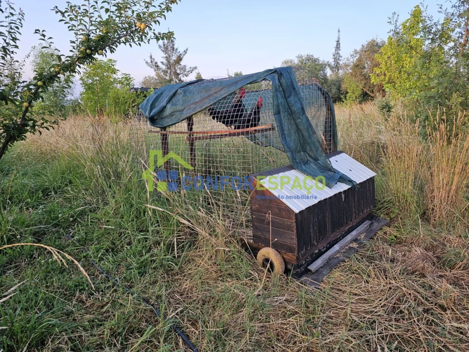 Quinta T2 para Venda em Ladoeiro Foto 33