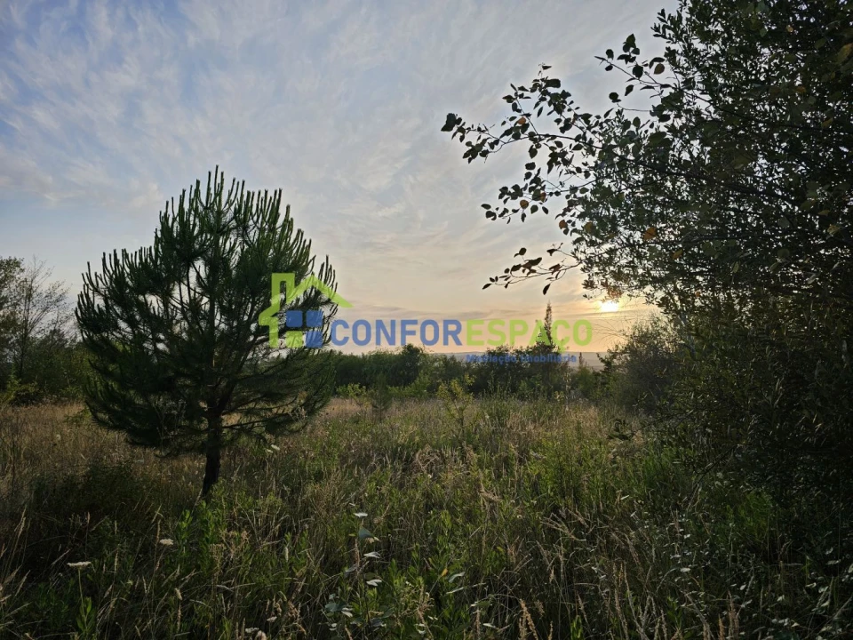 Quinta T2 para Venda em Ladoeiro Foto 27