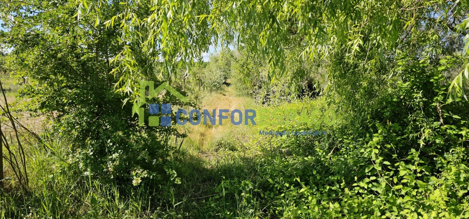 Quinta T2 para Venda em Ladoeiro Foto 65