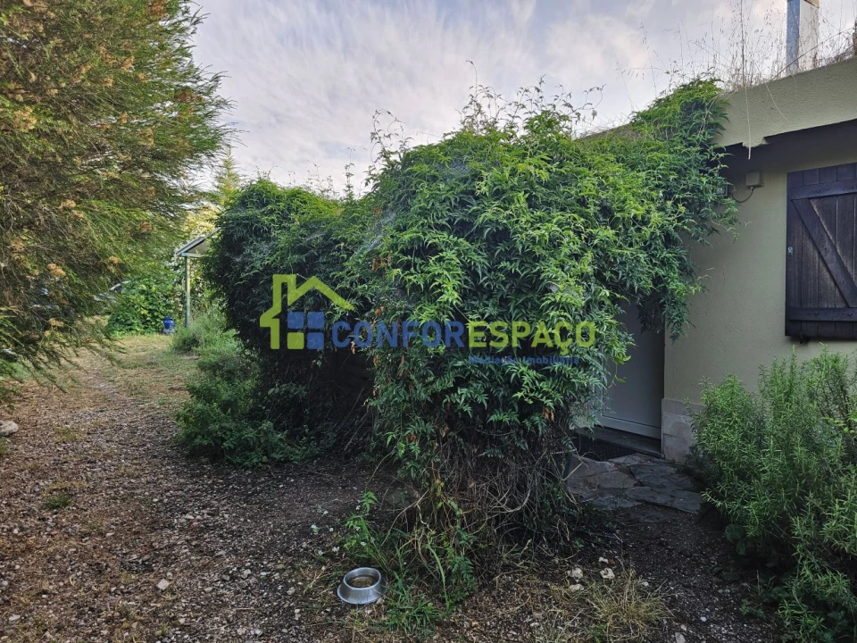 Quinta T2 para Venda em Ladoeiro Foto 14