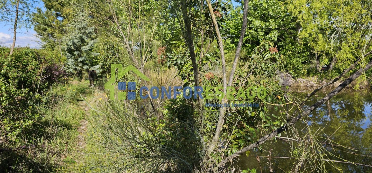 Quinta T2 para Venda em Ladoeiro Foto 63