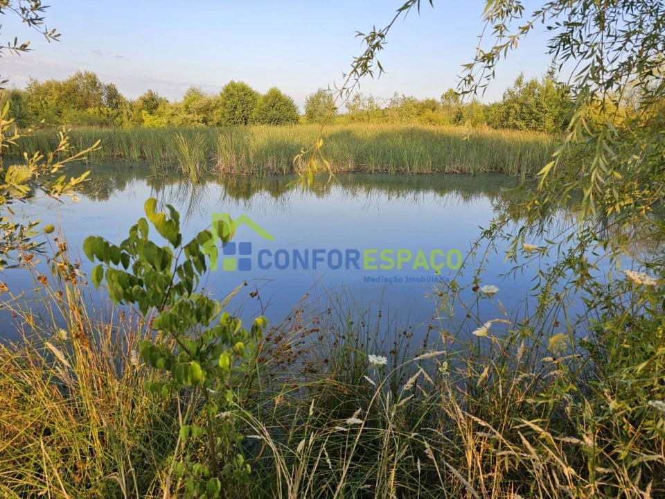 Quinta T2 para Venda em Ladoeiro Foto 22